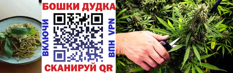 Canna-Cookies марихуана kraken ТОР Сунжа