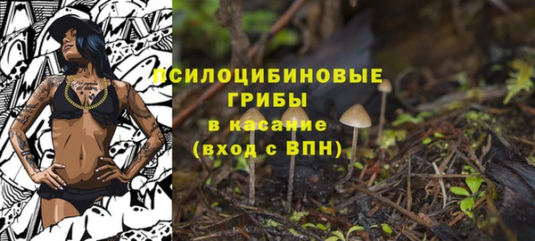 МДПВ Аркадак